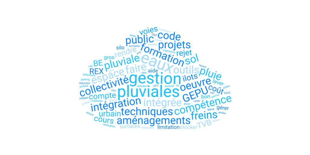 Nuage-de-mots LMDE 3