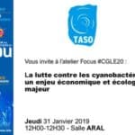 Focus-CGLE20-TASO