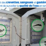 Toxmate de Viewpoint sur EnviroPro Bordeaux 2021