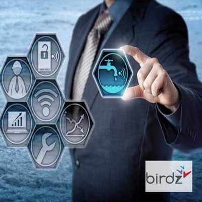 Téléreleve des compteurs d'eau BIRDZ