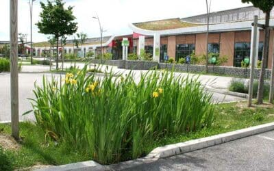 Gérer les eaux pluviales autrement avec le RigoPlant