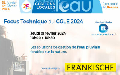 Focus Technique : Les solutions de gestion de l’eau pluviale fondées sur la nature