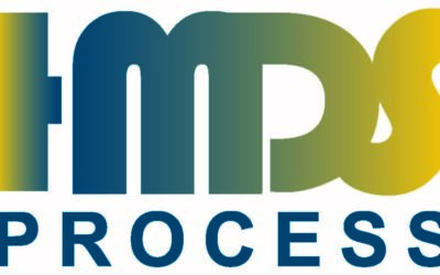 HMDS PROCESS
