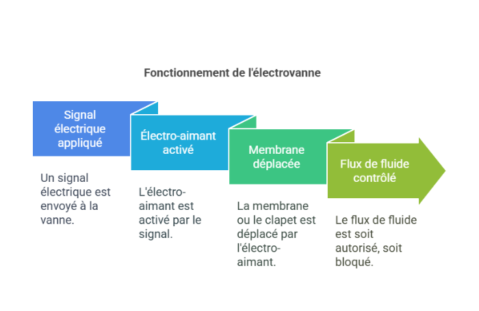 Découvrez l'électrovanne 