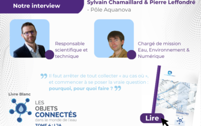 Intelligence artificielle :  pourquoi, comment, jusqu’où ?