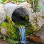 Découvrez l'article sur la gestion innovante des eaux pluviales.