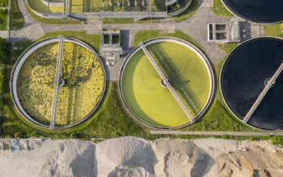Du suivi de l’ammonium à l’optimisation des procédés : améliorer les performances du traitement des eaux usées grâce aux données en temps réel